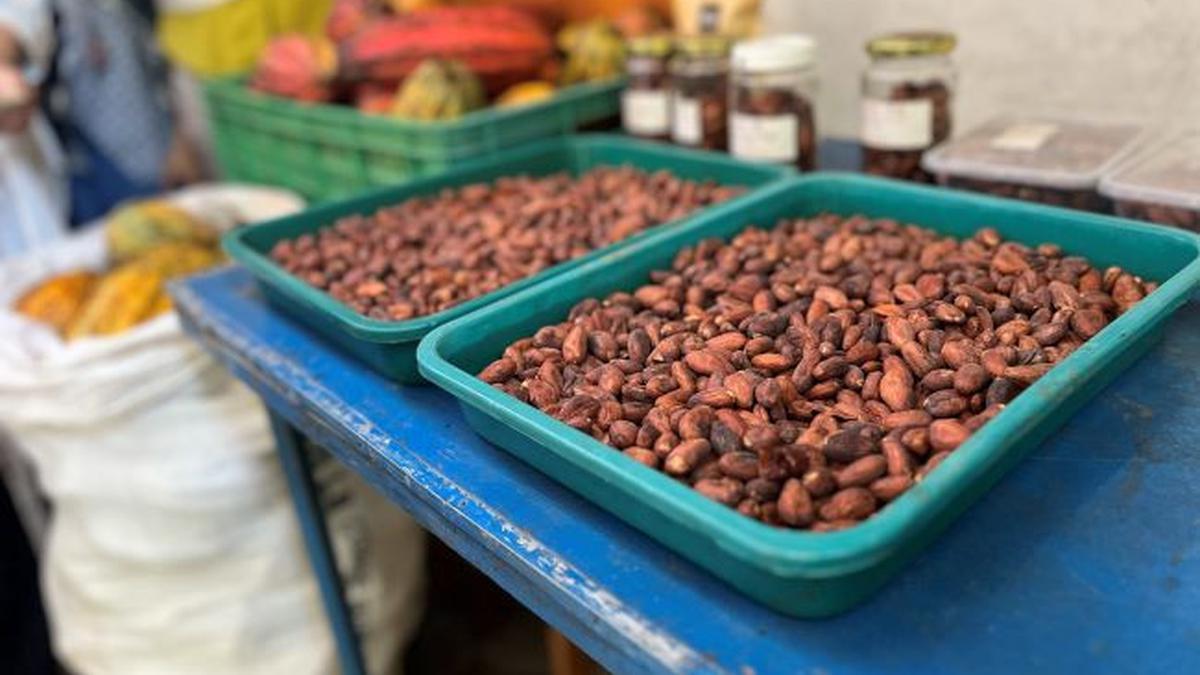 Perubahan Iklim Ancam Rantai Pasokan Global, Bisnis Harus Beradaptasi